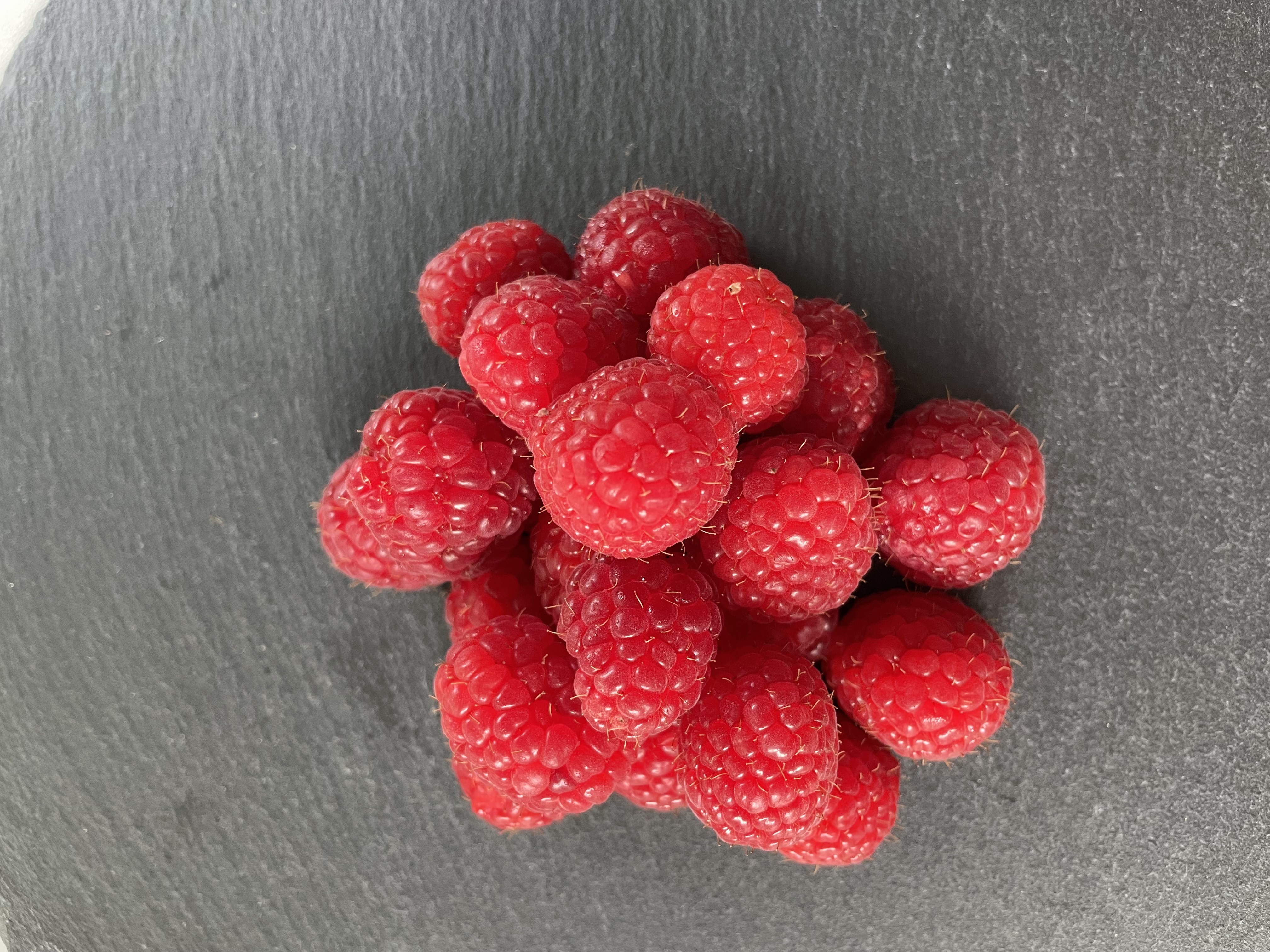 Fruchtzubereitung Himbeere | 5 kg Dose
